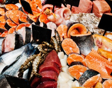 matériel de poissonnerie au maroc