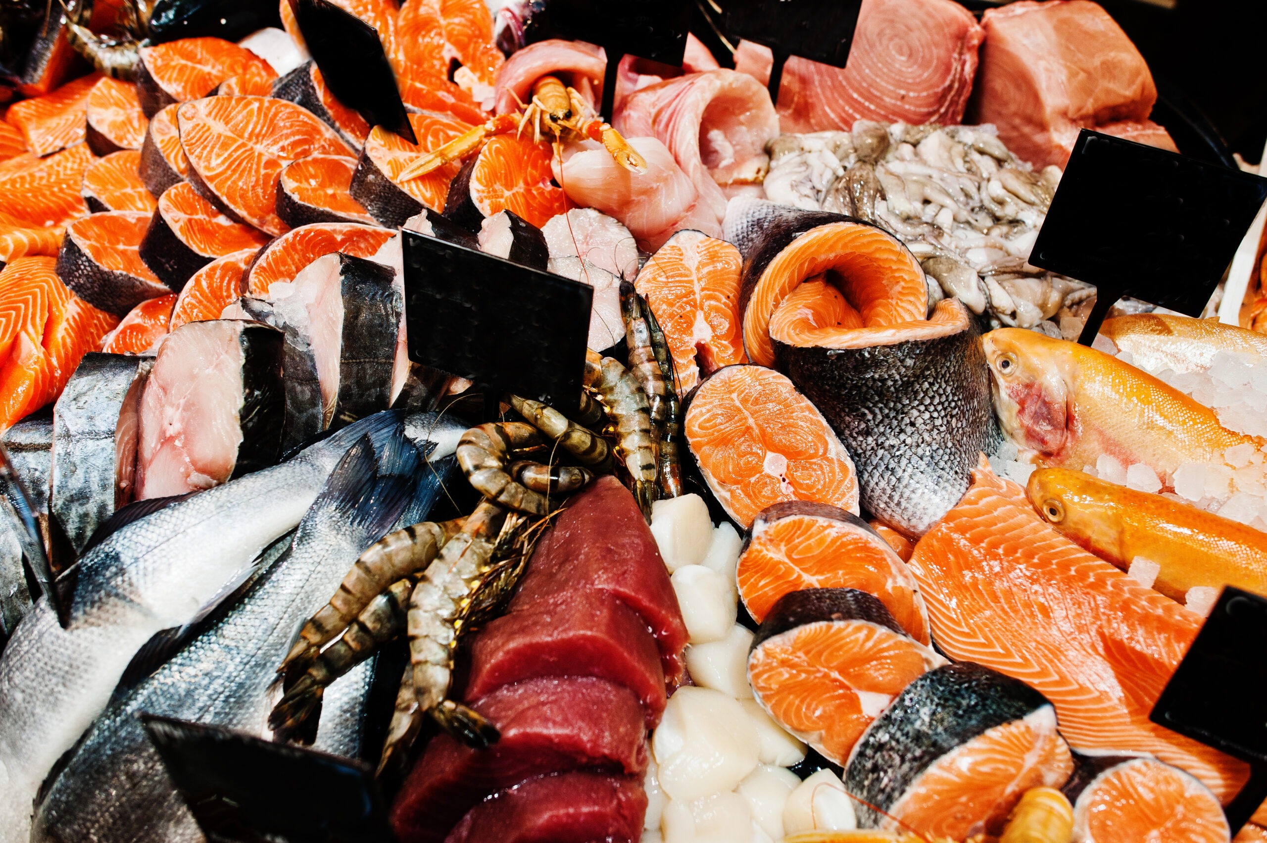 matériel de poissonnerie au maroc